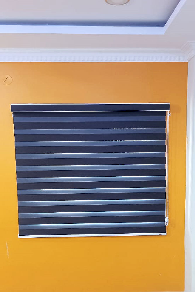 zebra blinds for your windows